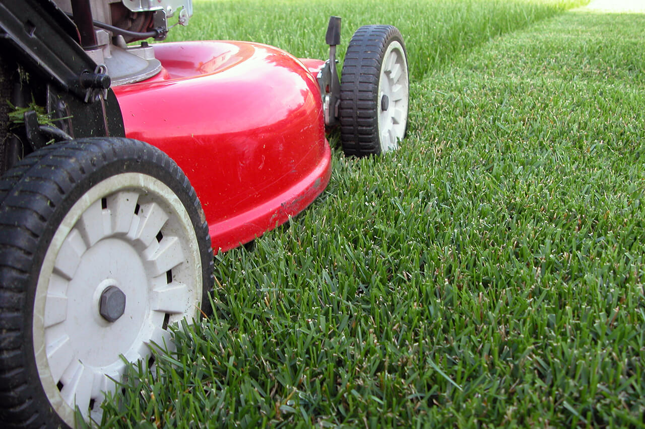 lawn mower mowing the grass